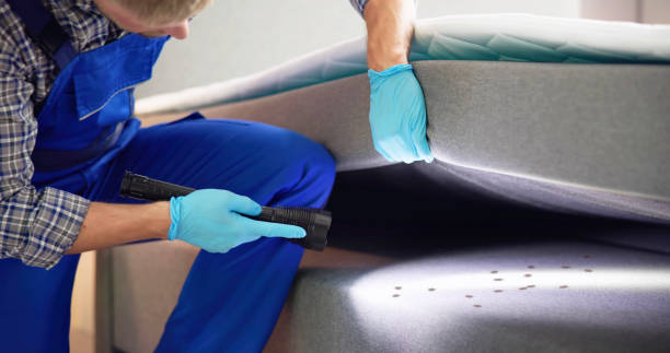 Best Affordable Exterminators  in Mancelona, MI