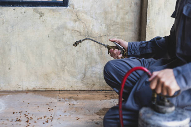 Best Exterminator Services  in Mancelona, MI