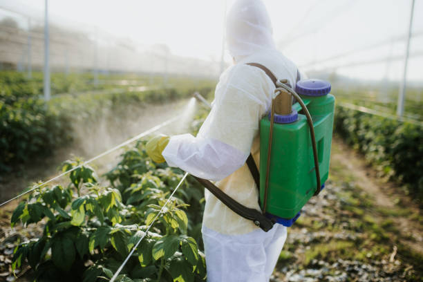 Best Best Pest Control Companies  in Mancelona, MI